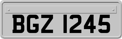 BGZ1245