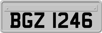 BGZ1246