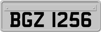 BGZ1256