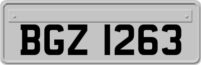 BGZ1263