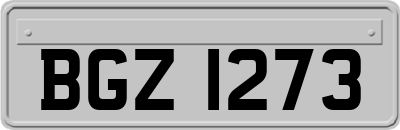 BGZ1273