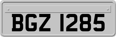 BGZ1285