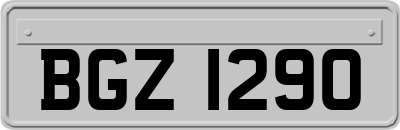 BGZ1290