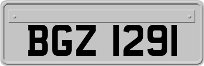 BGZ1291