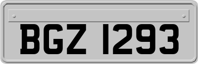 BGZ1293