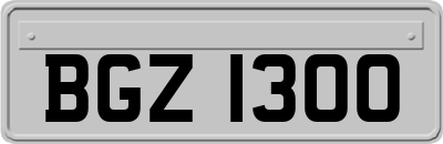 BGZ1300
