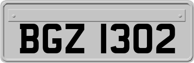 BGZ1302