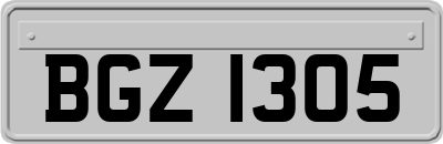 BGZ1305