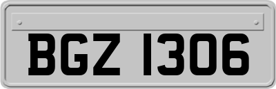 BGZ1306
