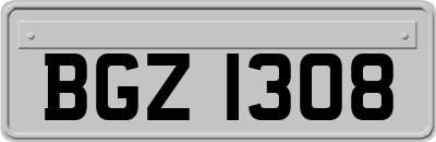 BGZ1308