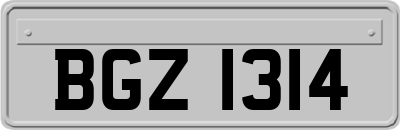 BGZ1314