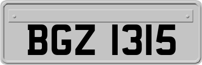 BGZ1315
