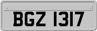 BGZ1317