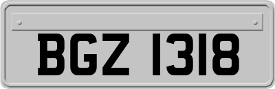 BGZ1318