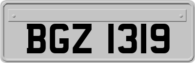 BGZ1319
