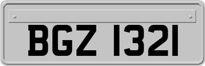BGZ1321