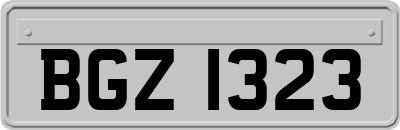 BGZ1323
