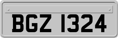 BGZ1324