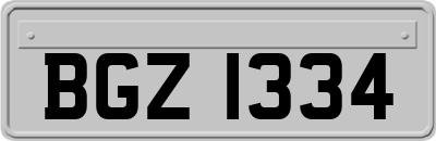 BGZ1334