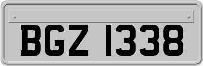 BGZ1338