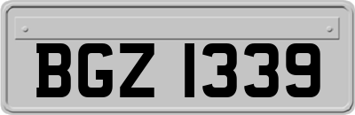 BGZ1339