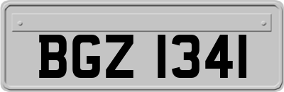 BGZ1341