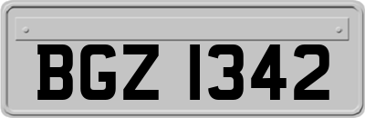BGZ1342
