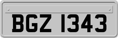 BGZ1343