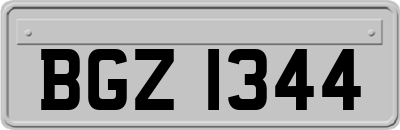 BGZ1344