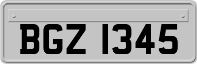 BGZ1345