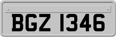 BGZ1346