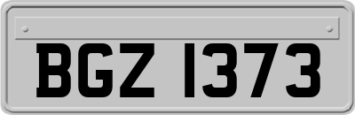BGZ1373