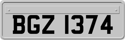 BGZ1374