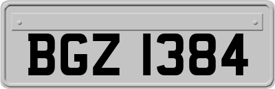 BGZ1384
