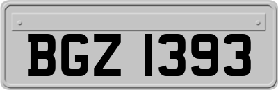 BGZ1393