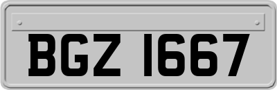 BGZ1667