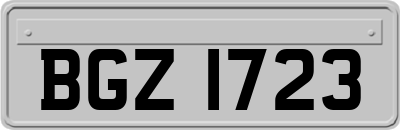 BGZ1723