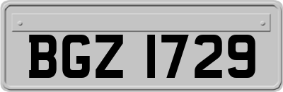 BGZ1729