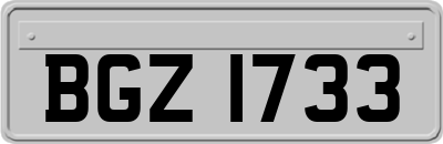 BGZ1733