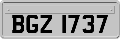 BGZ1737