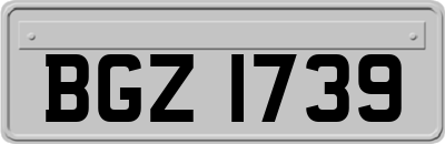 BGZ1739