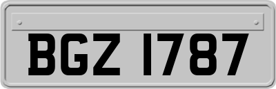 BGZ1787
