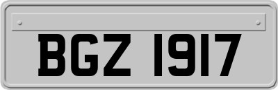 BGZ1917