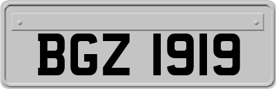 BGZ1919