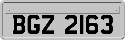 BGZ2163