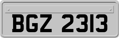 BGZ2313