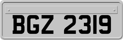 BGZ2319