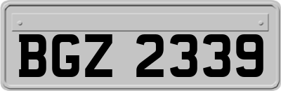 BGZ2339