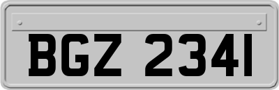 BGZ2341
