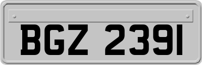 BGZ2391